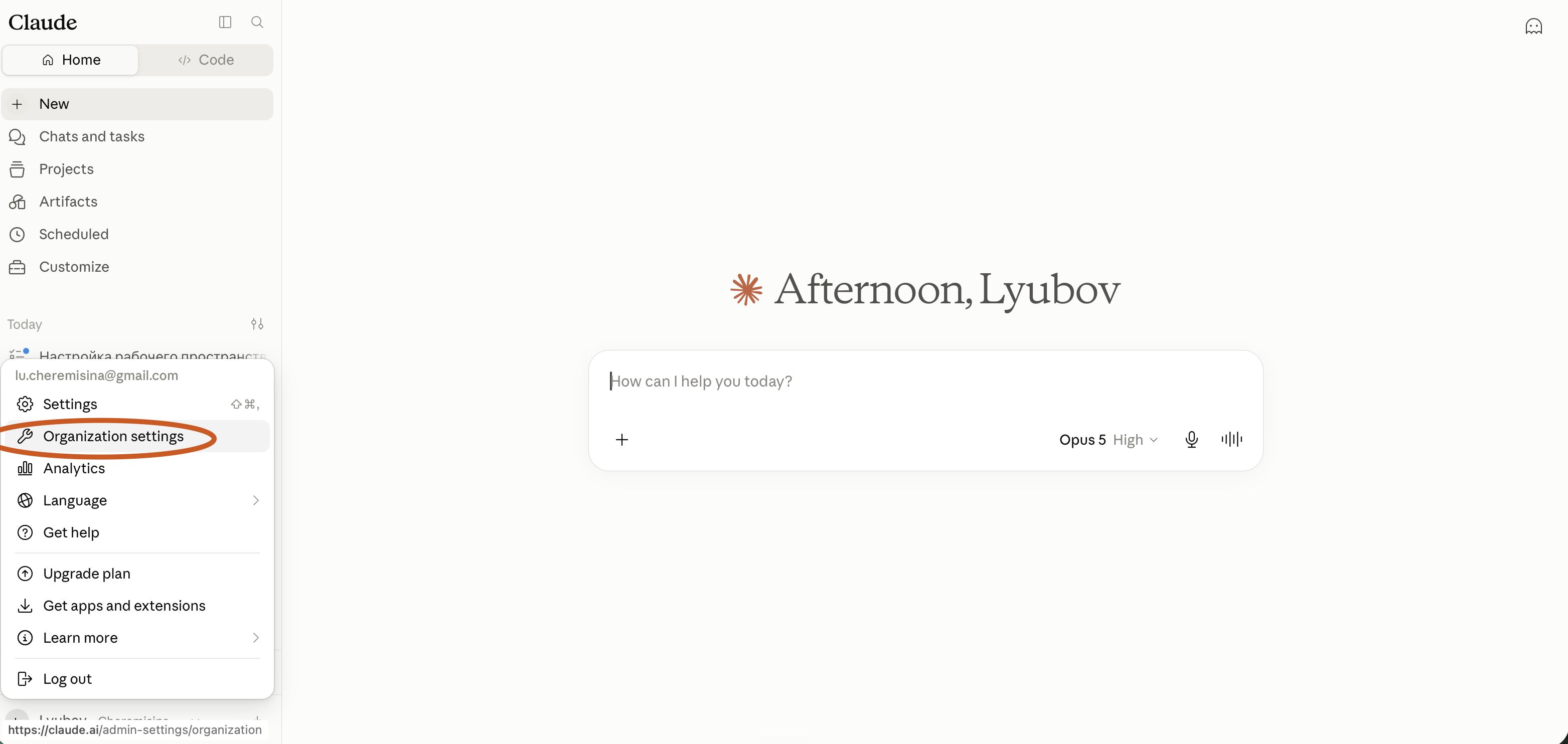 Скриншот настройки Claude Team workspace