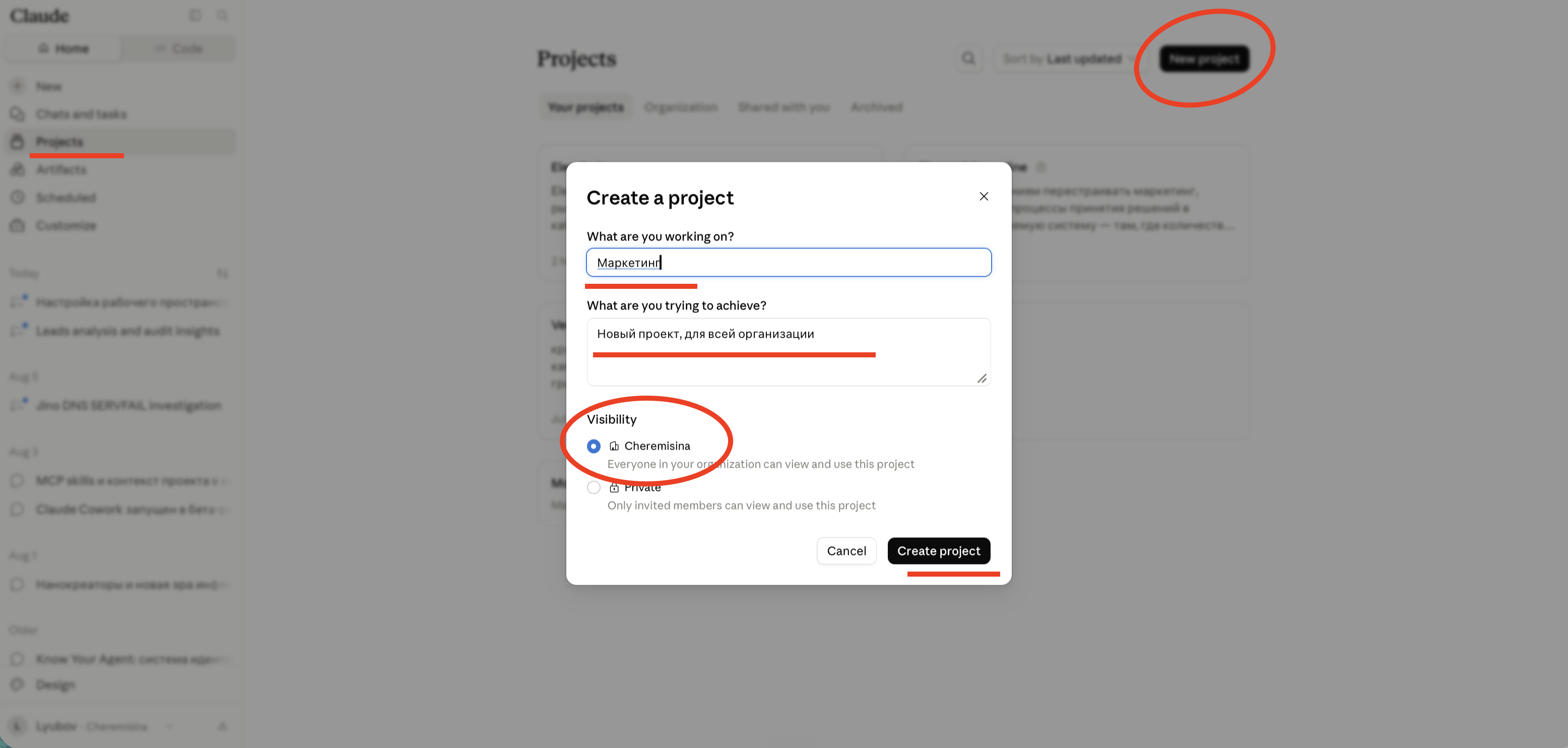 Окно Create a project: название, описание (What are you trying to achieve?) и выбор видимости — вся организация или Private.